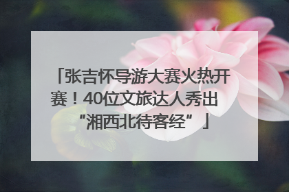 张吉怀导游大赛火热开赛！40位文旅达人秀出“湘西北待客经”